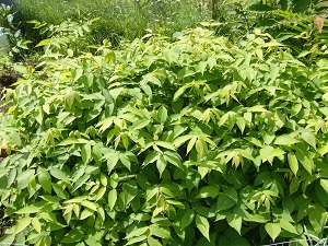 Proteger la biodiversite